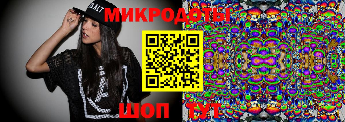 Галлюциногенные грибы Psilocybe Зеленодольск